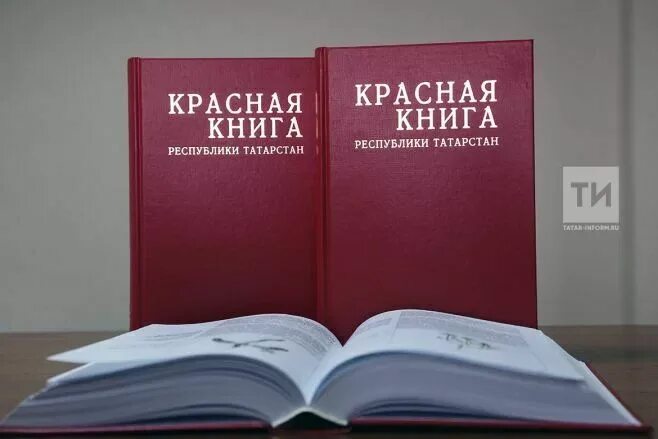 Красная книга татарстана растения фото Красную книгу Татарстана переиздадут в 2025 году