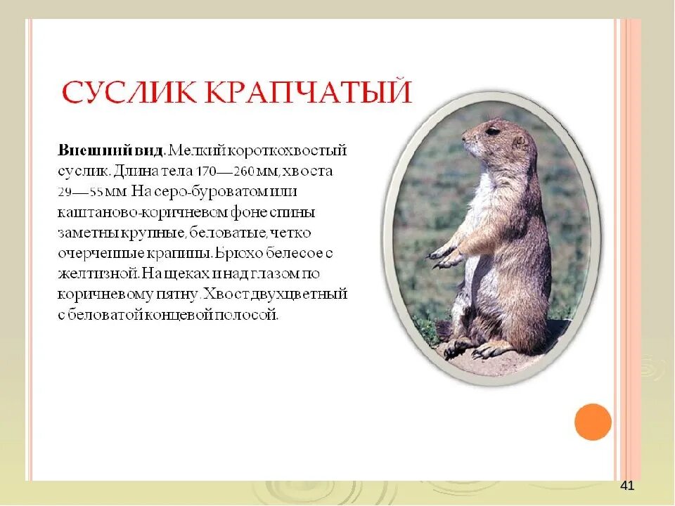 Красная книга татарстана животные фото и описание Картинки ЖИВОТНЫЕ ВНЕСЕННЫЕ В КРАСНУЮ КНИГУ ТАТАРСТАНА