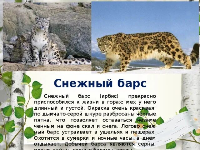 Красная книга татарстана животные фото и описание Животные Красной книги