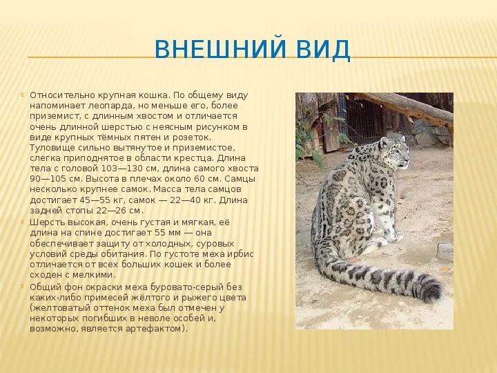 Красная книга татарстана животные фото и описание Животные Красной книги Татарстана - презентация