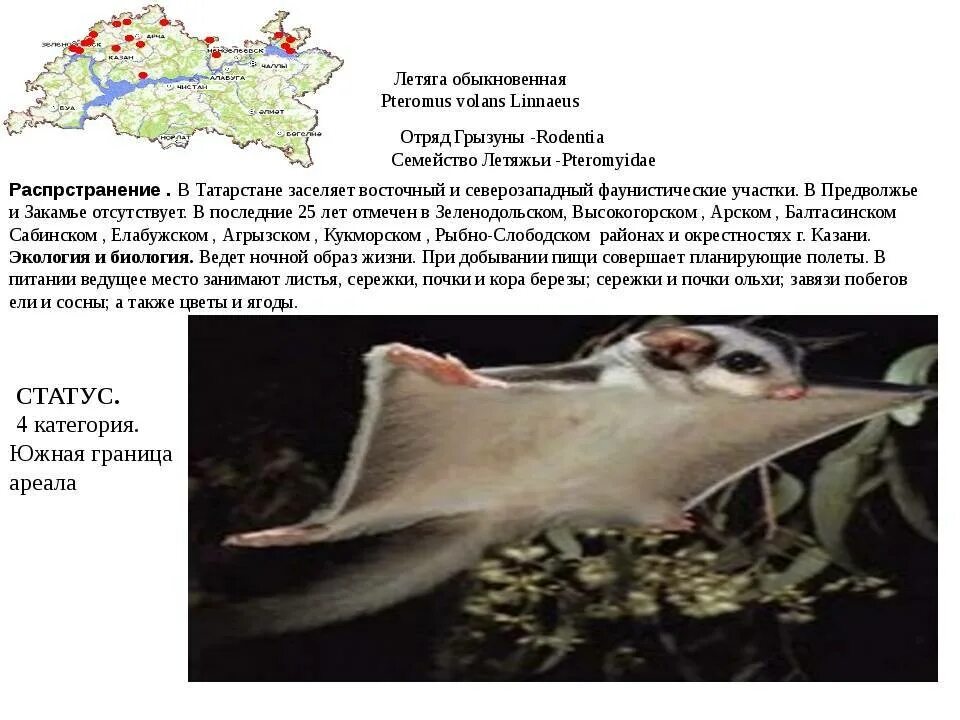Красная книга татарстана животные фото и описание Картинки ЖИВОТНЫЕ ВНЕСЕННЫЕ В КРАСНУЮ КНИГУ ТАТАРСТАНА