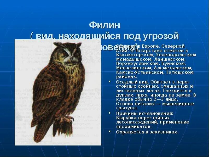 Красная книга татарстана животные фото и описание Красная книга республики татарстан презентация