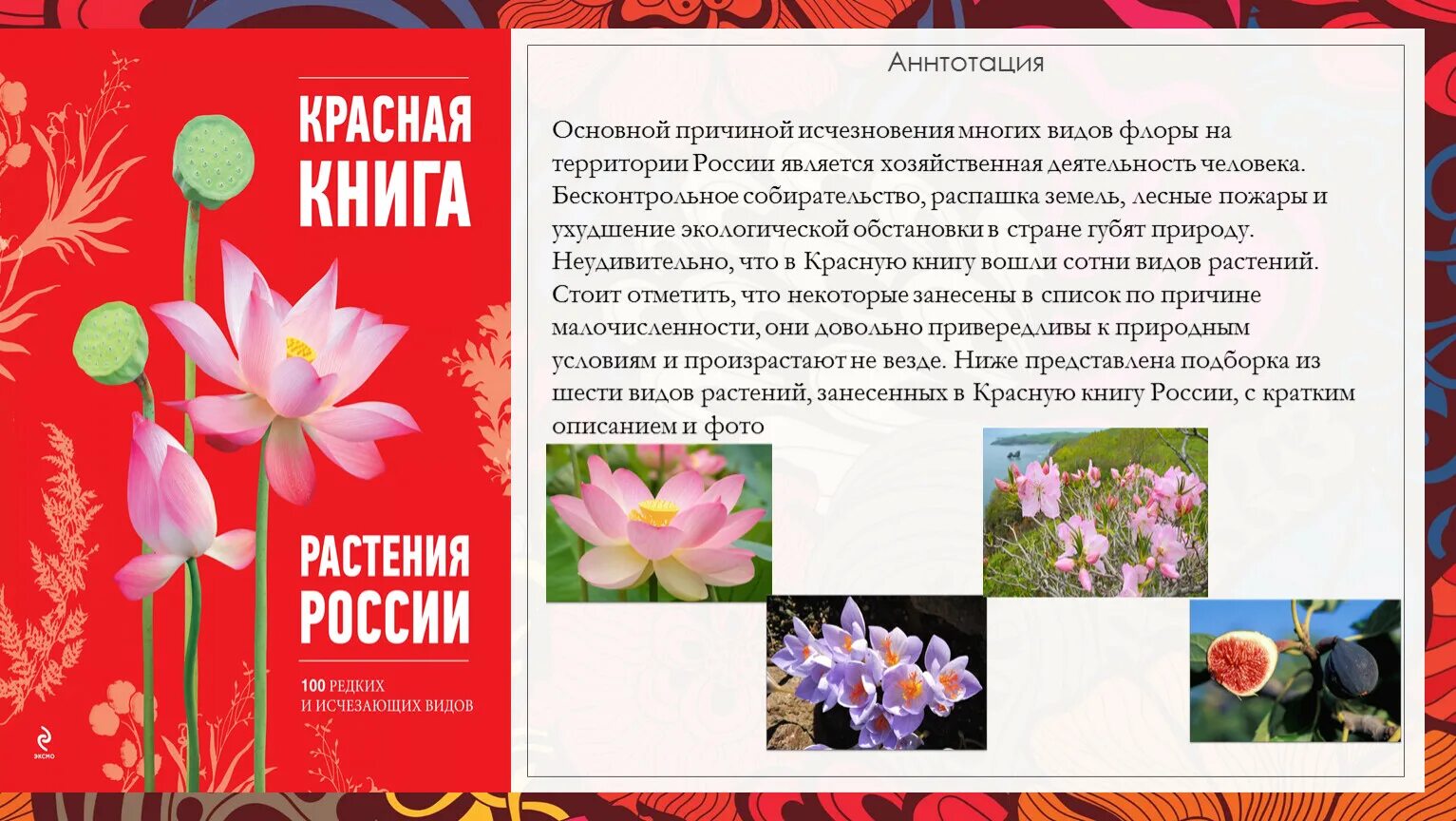 Красная книга цветы фото названия Растения Красной книги РФ