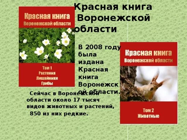 Красная книга воронежской области фото Презентация "Воронежский заповедник"