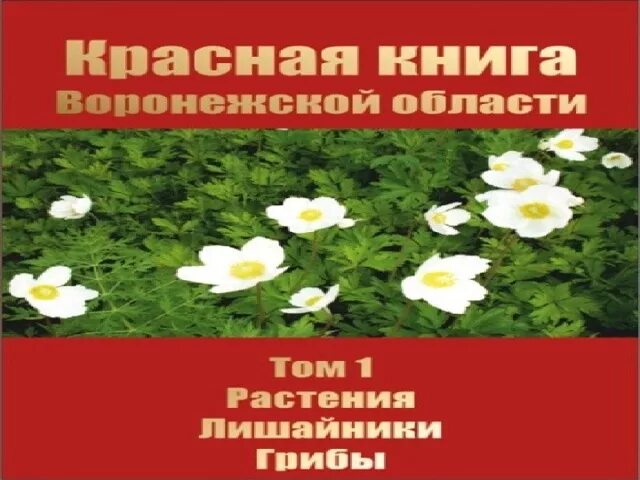 Красная книга воронежской области фото "Растения из Красной книги Воронежской области" - внеурочная работа, презентации
