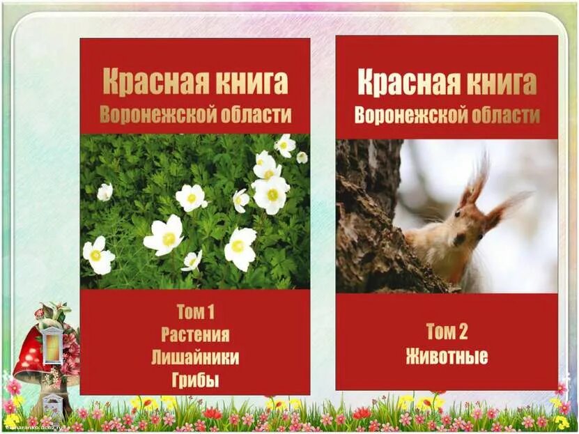 Красная книга воронежской области фото Красная книга воронежской области рисунок