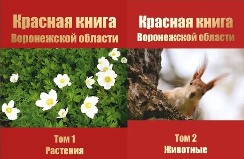 Красная книга воронежской области фото Картинки ЖИВОТНЫЕ ЗАНЕСЕННЫЕ В КРАСНУЮ КНИГУ ВОРОНЕЖСКОЙ