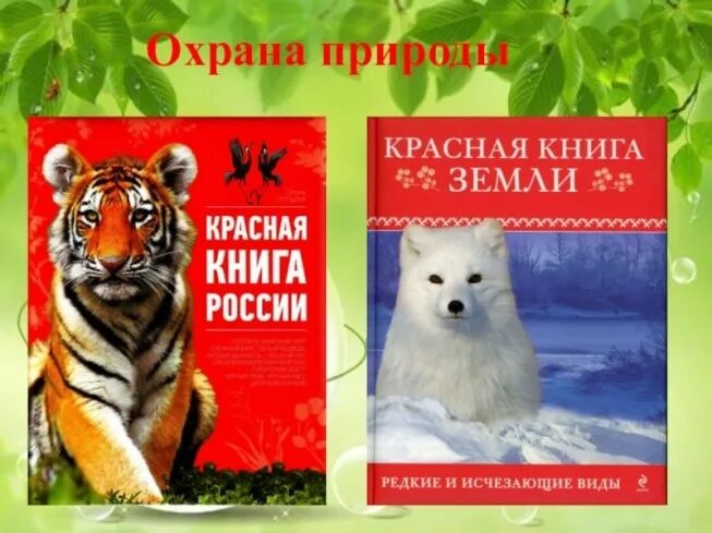 Красная книга земли фото Аткарская межпоселенческая центральная библиотека - Новости и анонсы