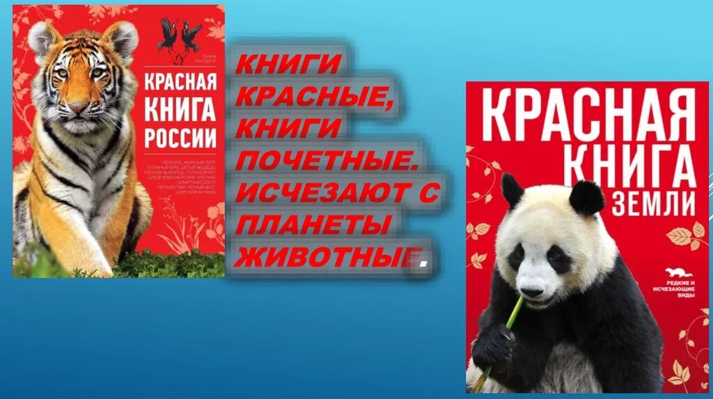 Красная книга земли фото Красная книга Земли - презентация онлайн
