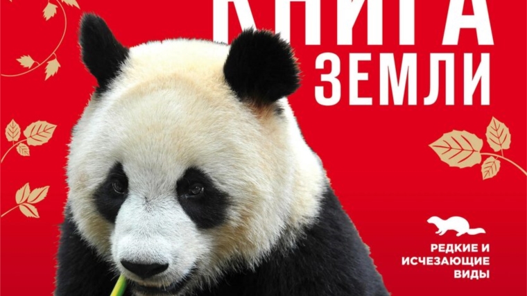 Красная книга земли фото Алгазинский территориальный отдел Вурнарского муниципального округа " Пресс-Цент