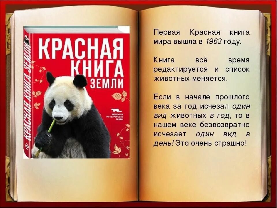Красная книга земли фото Путешествие по Красной книге"беседа-обзор 2023, Спасский район - дата и место пр