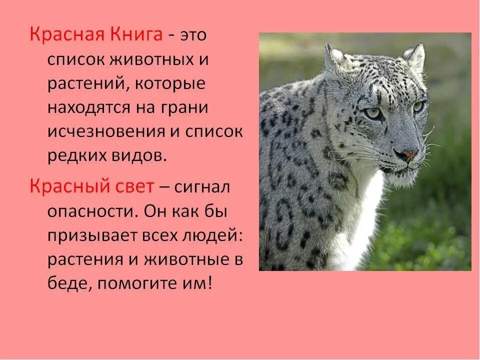 Красная книга животные и растения фото Растения и животные в международной красной книге - найдено 77 картинок