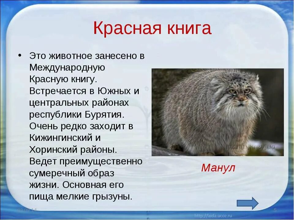 Красная книга животные список с картинками Untitled at emaze Presentation