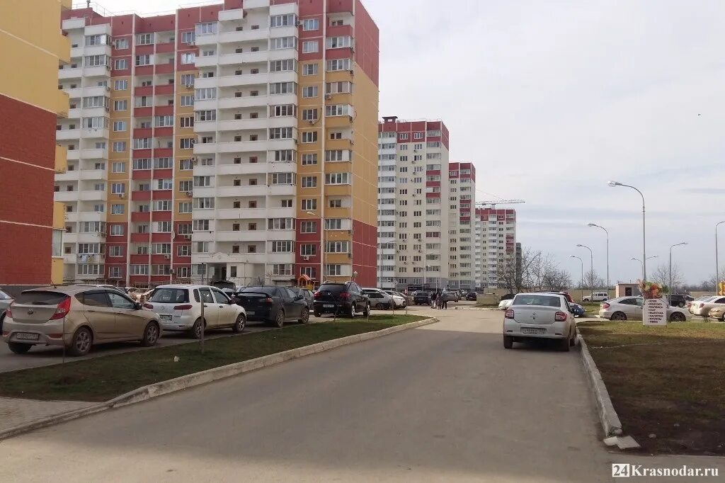 Краснодар молодежный фото Живодеры в Молодёжном микрорайоне - 24krasnodar.ru