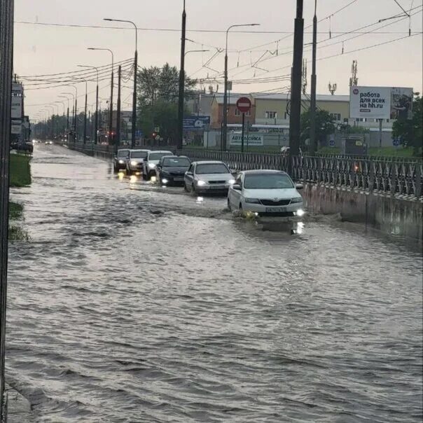 Краснодар сегодня фото Весенний дождь Олег Букач Дзен
