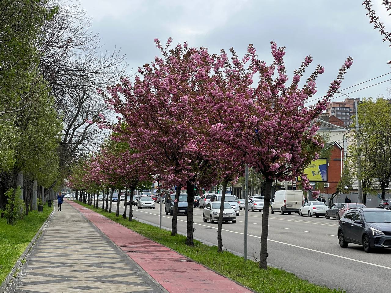 Краснодар в апреле фото Порывы ветра в Краснодаре 14 апреля достигнут 20 м/с и пройдёт дождь. 13.04.2023