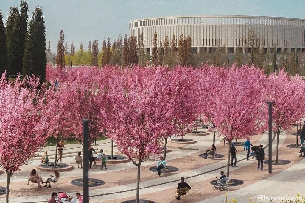 Краснодар в апреле фото Погода 7 апреля - 24krasnodar.ru