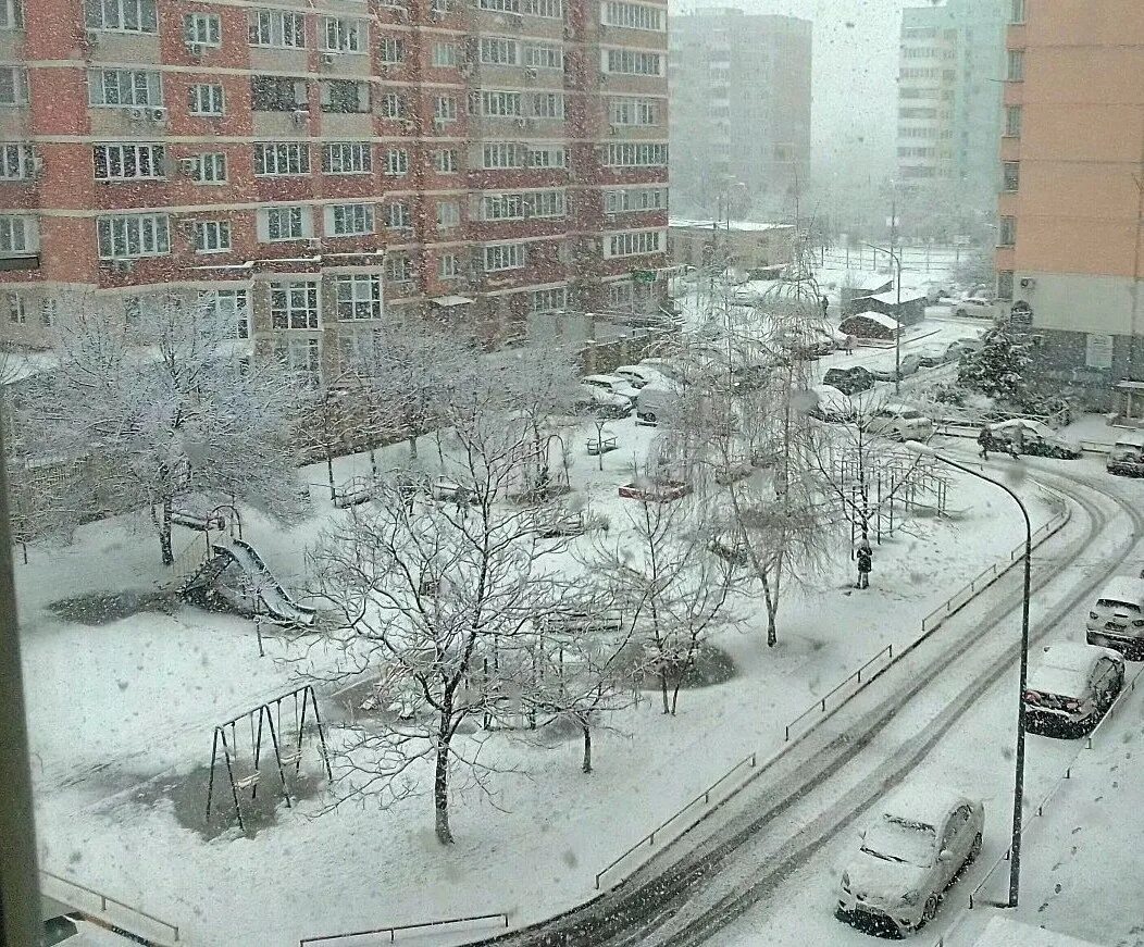 Краснодар в январе фото Снегопад в Краснодаре: tanechka_s - ЖЖ