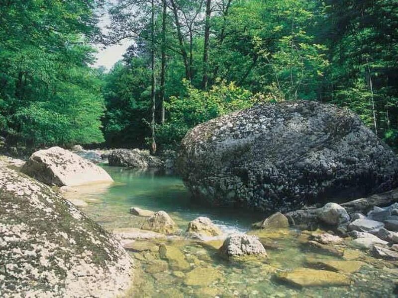 Краснодарский край горячий ключ источники фото Парк "Горячий Ключ" ǀ река Псекупс ǀ Краснодарский край