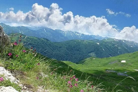 Краснодарский край картинки фото Природа Краснодарского края