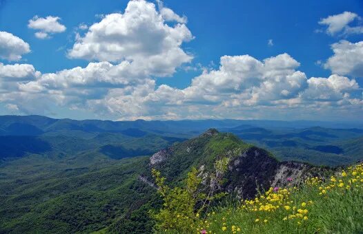 Краснодарский край картинки фото Сбор материалов Окружающий мир