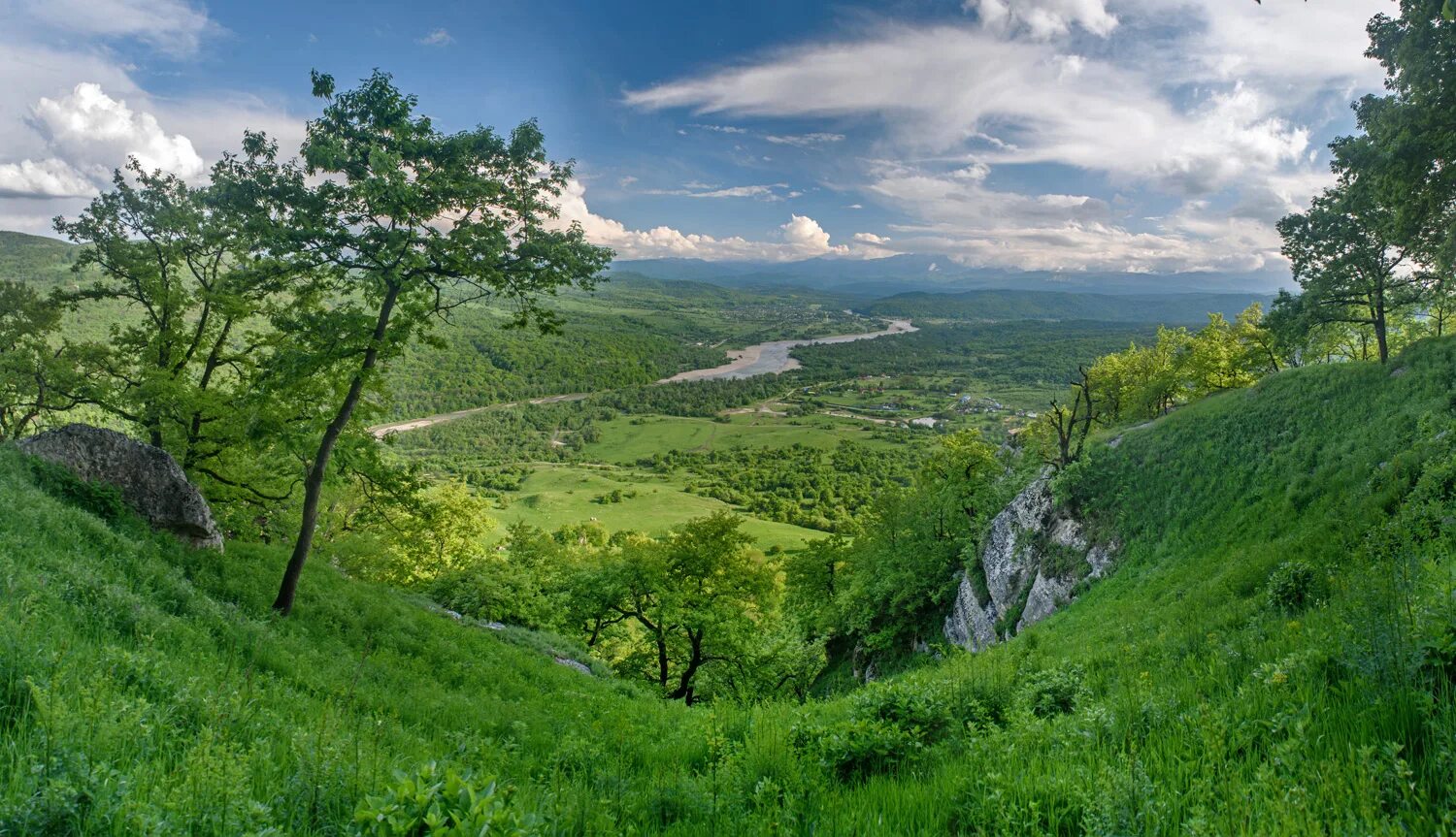Краснодарский край картинки фото Весна в Псебае