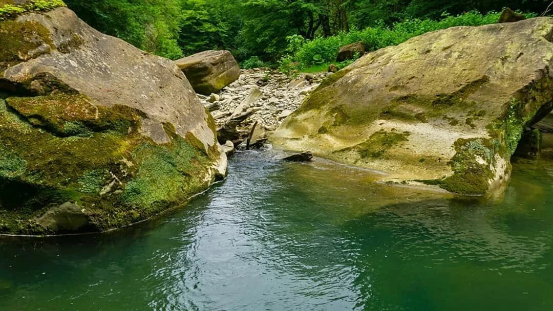 Краснодарский край кудепста фото Река Кудепста. Общая длина Кудепсты - 23км, а площадь бассейна 85км. Да, она неб