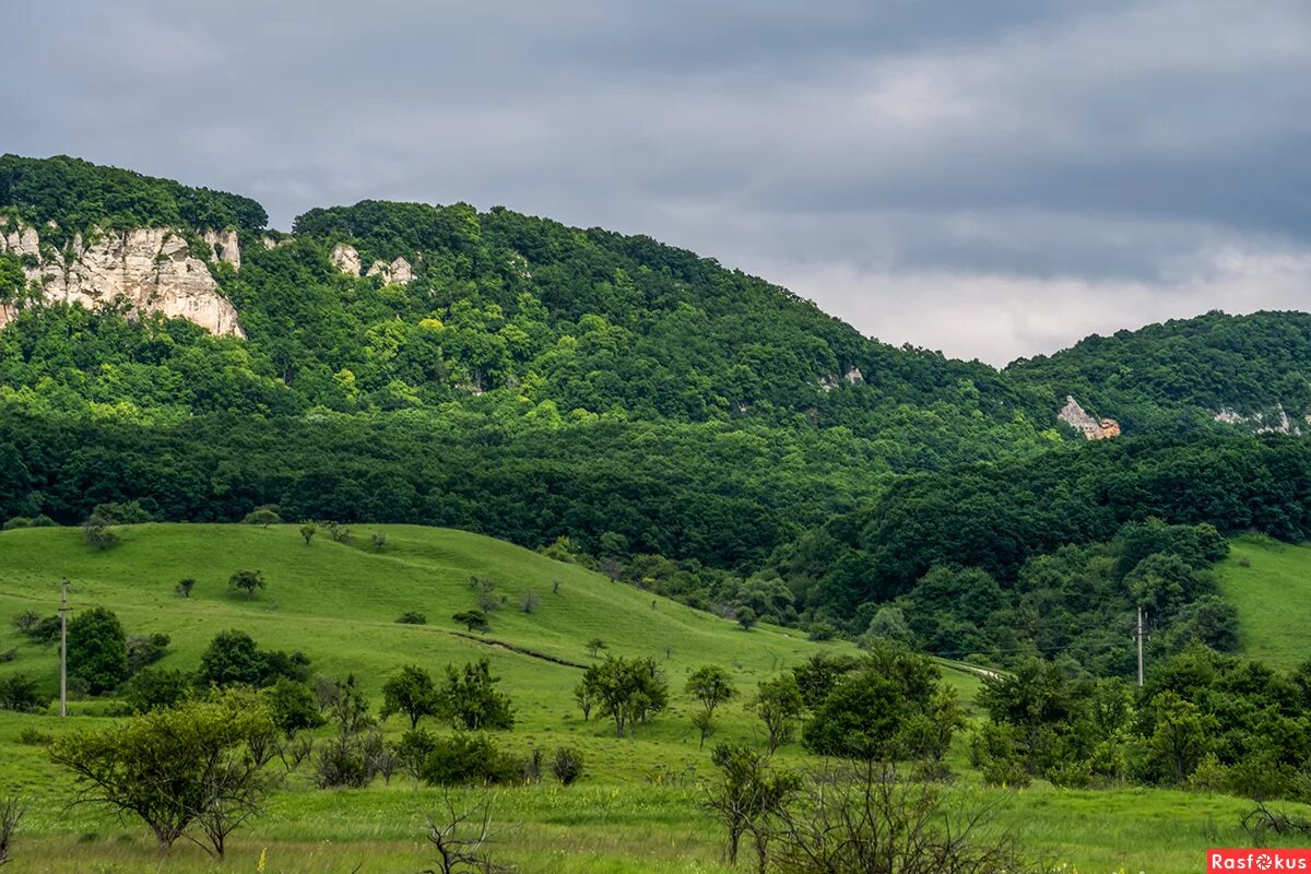Краснодарский край лабинский район фото Фото: Лабинский район, Краснодарский край. Фотолюбитель Игорь Сикорский. Природа