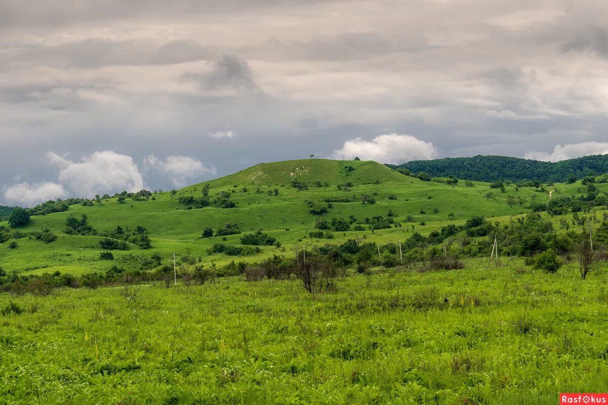 Краснодарский край лабинский район фото Жук. Природа - Фотосайт Rasfokus.ru