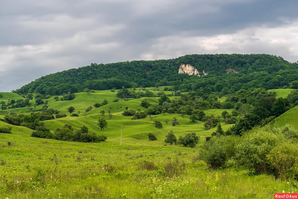 Краснодарский край лабинский район фото Фотолюбитель Игорь Сикорский. Природа. Фотосайт Расфокус.ру