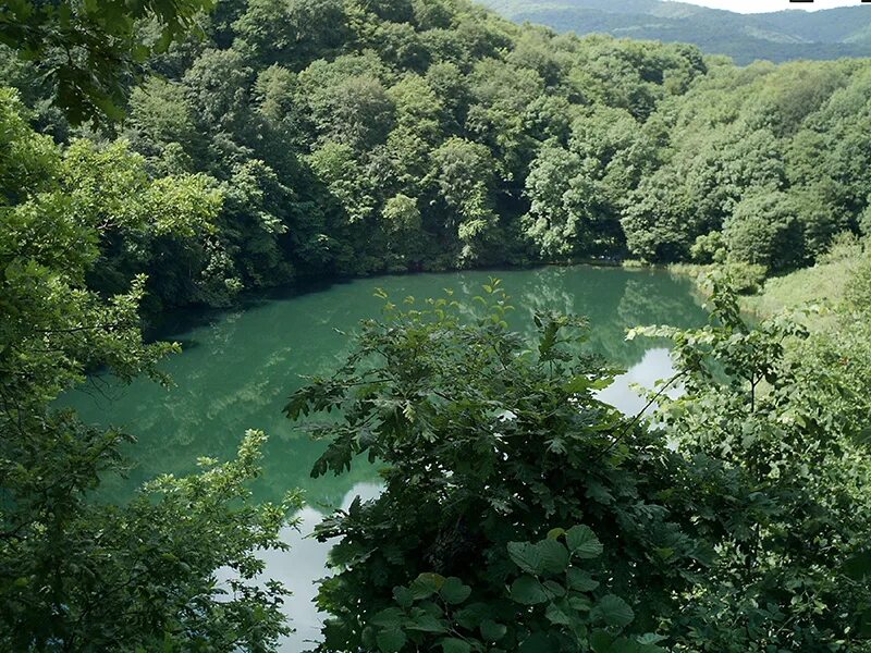 Краснодарский край лабинский район фото Лабинский район - СМОКК