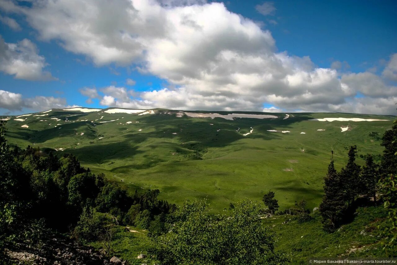 Краснодарский край лагонаки фото Плато Лаго-Наки или пейзаж с картинки, Июнь 2014, отзыв от туриста bakaeva_maria