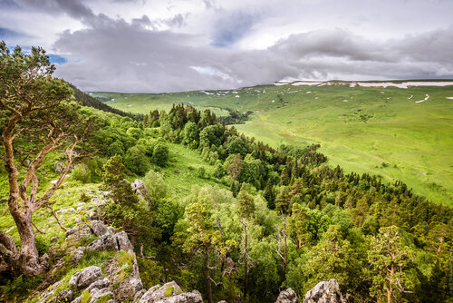 Краснодарский край лагонаки фото Краснодарский край. Лагонаки. 2014 - Часть 1 - union.travel