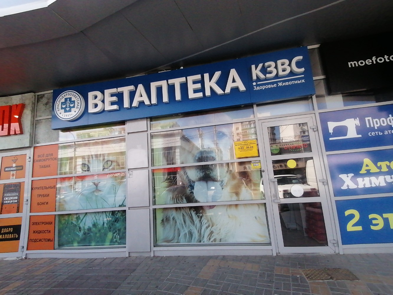 Краснодарзооветснаб ул калинина 127 георгиевск фото Краснодарзооветснаб, ветеринарная аптека, Пионерская ул., 11, Новороссийск - Янд