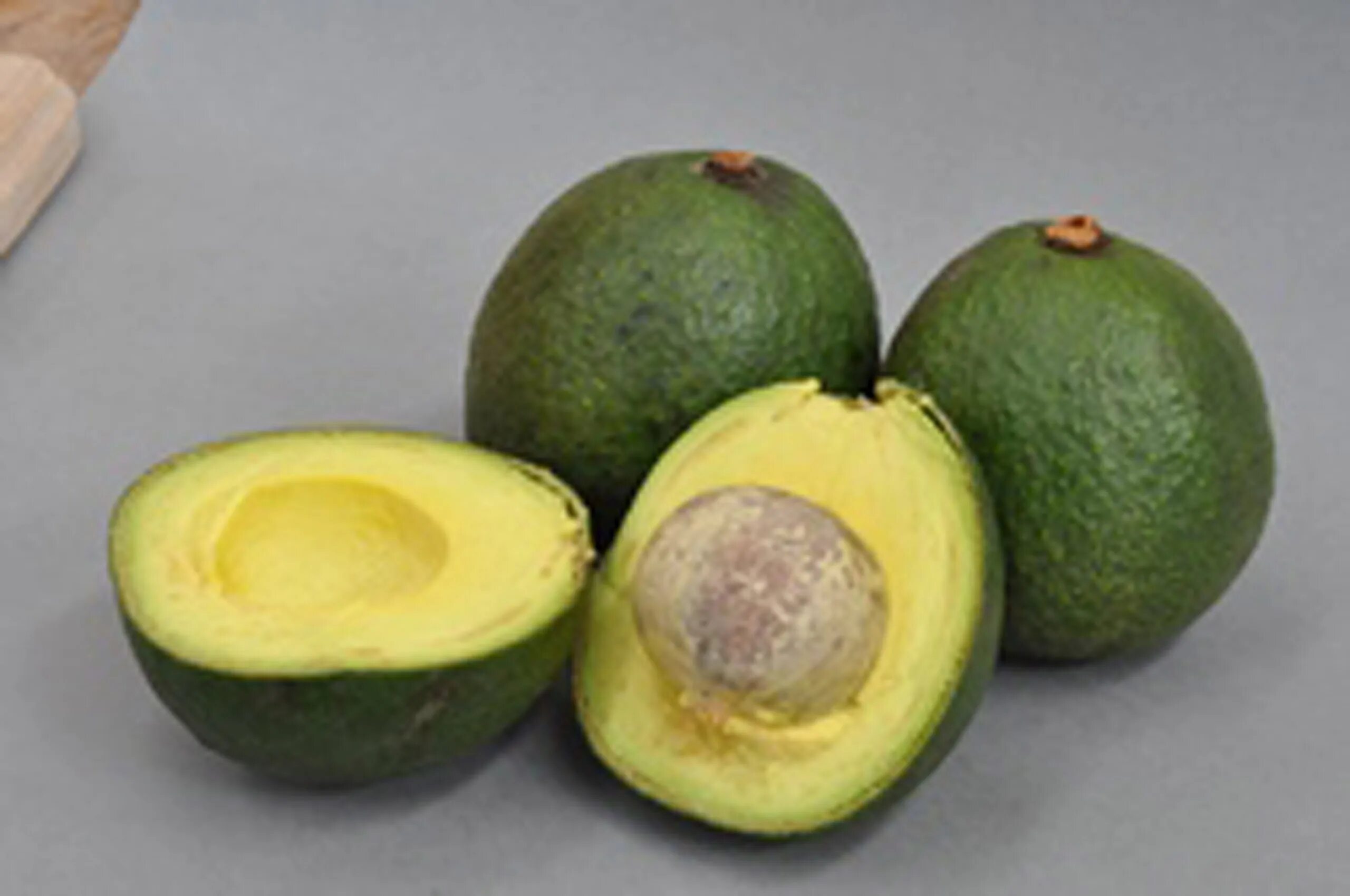 Красное авокадо фото Avocado Reed - Springvale Garden Centre