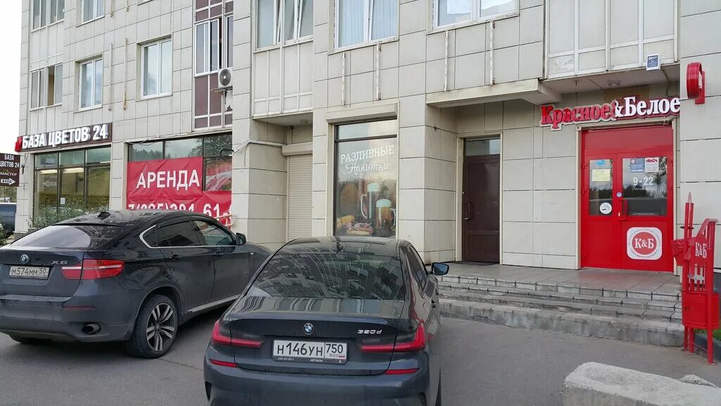 Красное белое черкасская ул 10 фото Панорама: Красное&Белое, магазин алкогольных напитков, Белорусская ул., 10, Один