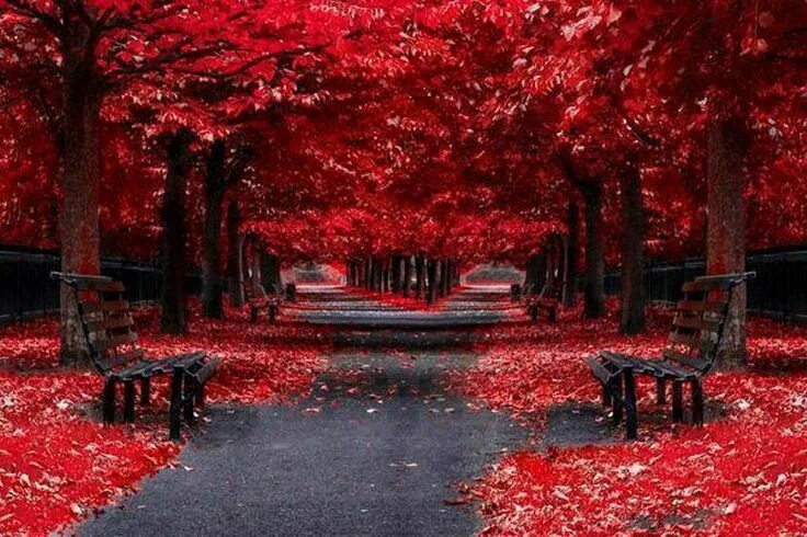 Красное место фото Pin by Scarlett Kaur on Landscapes in the world ✿ ⊱ ╮ Hd nature wallpapers, Fall
