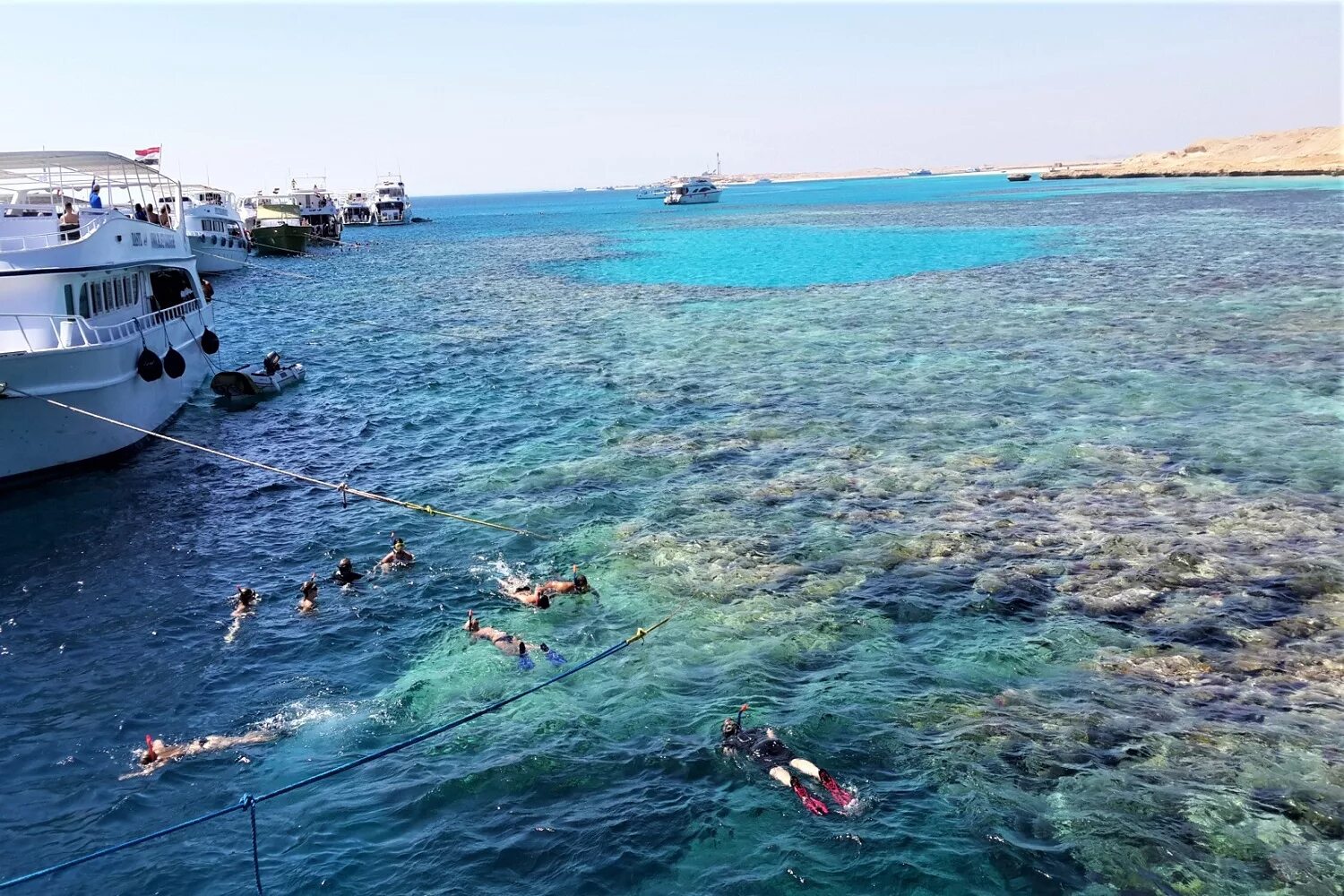 Красное море фото хургада Sea trips: найдено 89 картинок