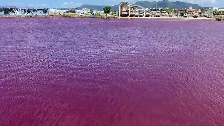 Красное море красная вода фото цвет моро Рукоделие и мода