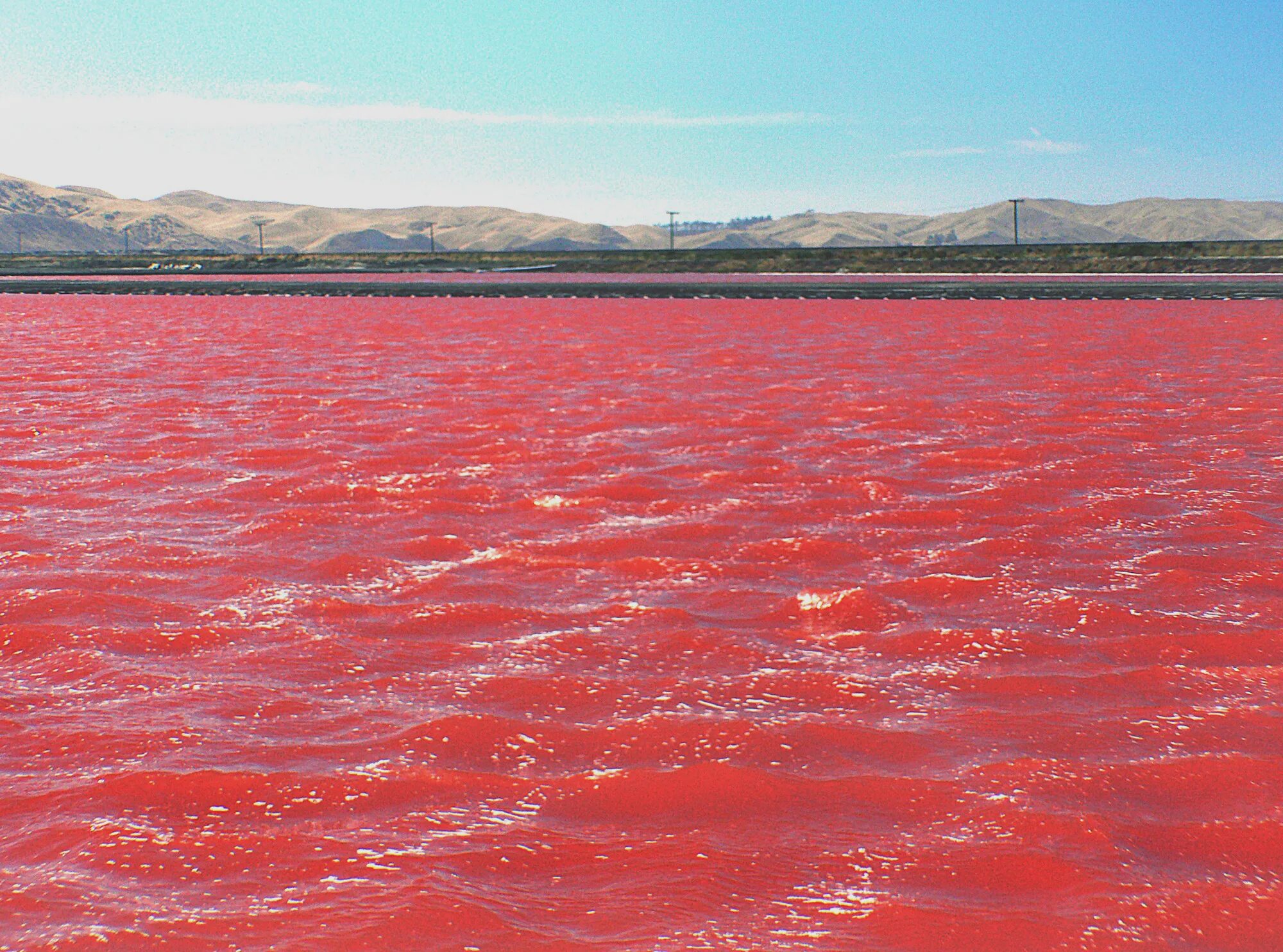Красное море красная вода фото Free Images : sea, lake, saltworks, solarsalt, redsea, geological phenomenon 200