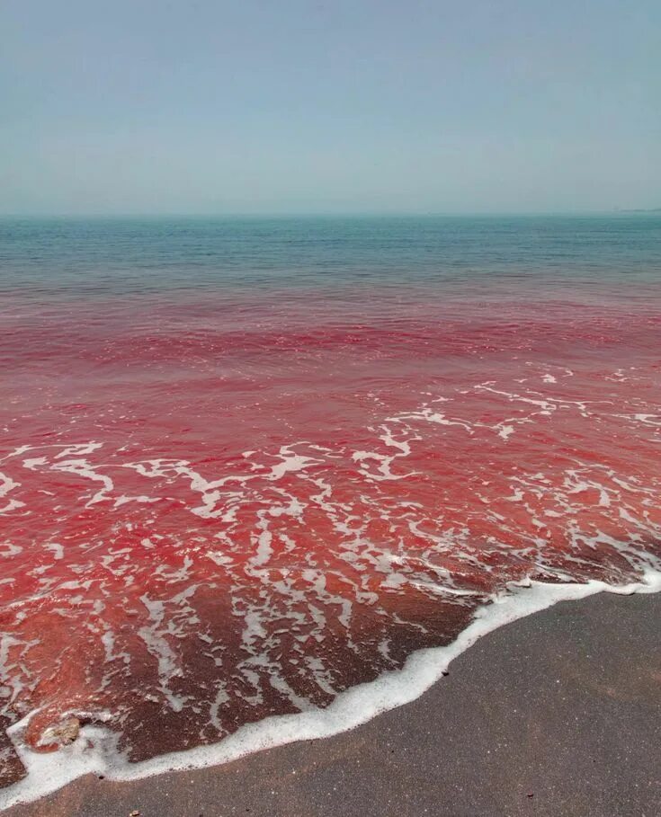 Красное море красная вода фото Hormuz Island: A Guide To Iran’s Rainbow Island Rainbow island, Iran tourism, Ir