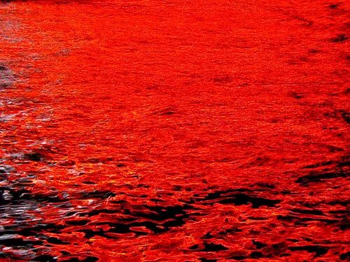 Красное море красная вода фото What color is the red sea?