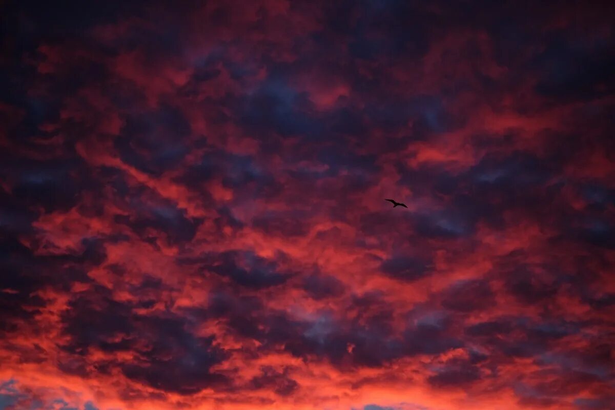 Красное небо фото Free Images : cloud, sunrise, sunset, dawn, atmosphere, dusk, evening, afterglow