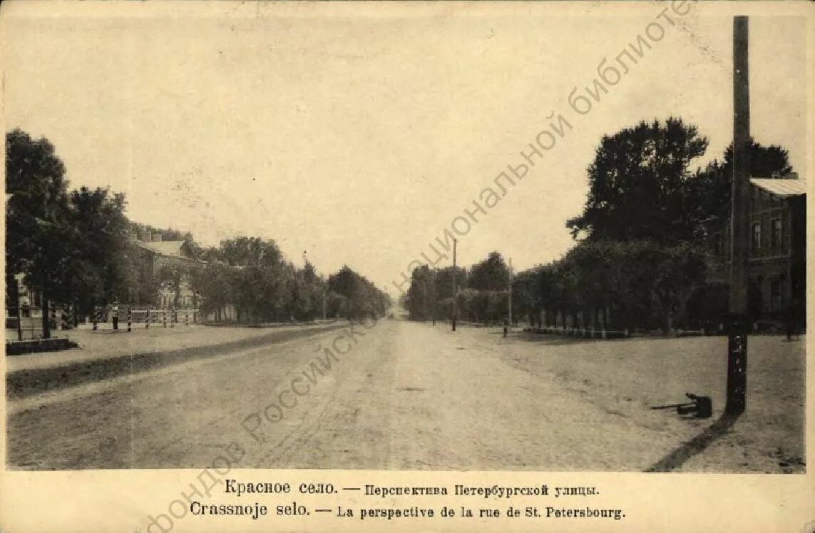 Красное село старые фото Красное Село. Города и дачные местности на открытках начала XX века. Печатная гр