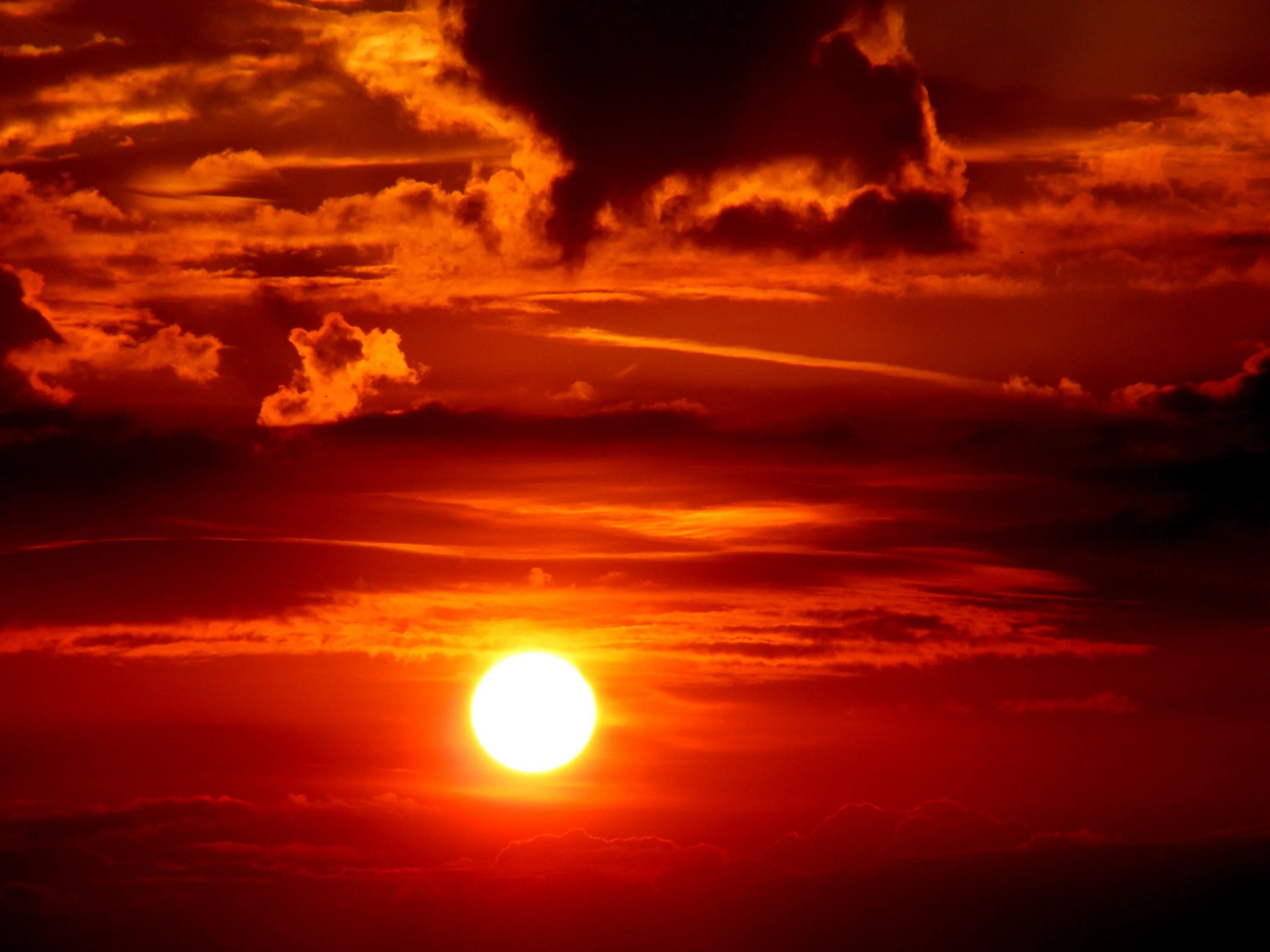 Красное солнышко фото Free Images : horizon, cloud, sun, sunrise, sunset, sunlight, dawn, atmosphere, 
