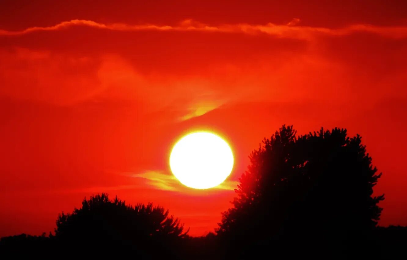 Красное солнышко фото Wallpaper the sky, the sun, clouds, trees, sunset, silhouette for mobile and des