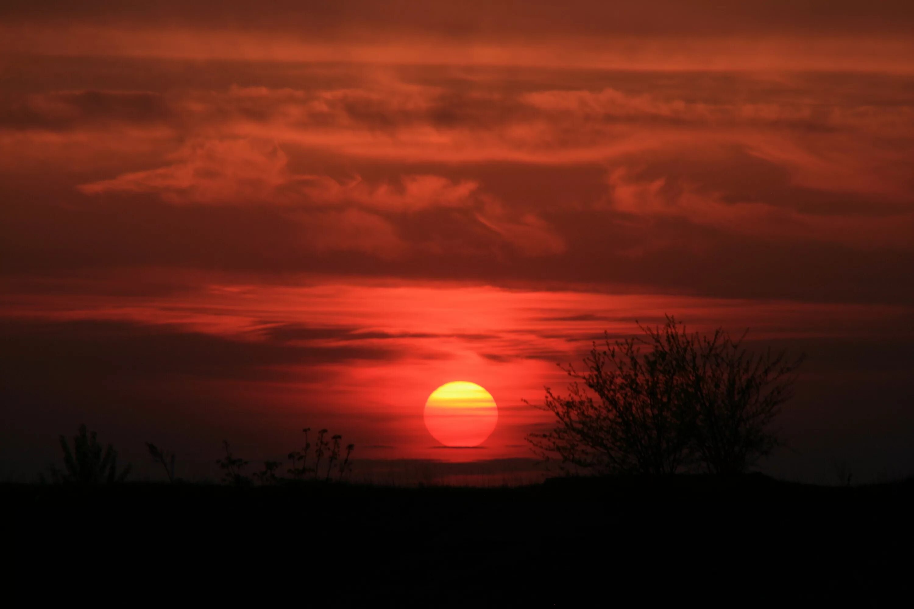 Красное солнышко фото Free Images : horizon, cloud, sun, sunrise, sunset, dawn, atmosphere, dusk, fire