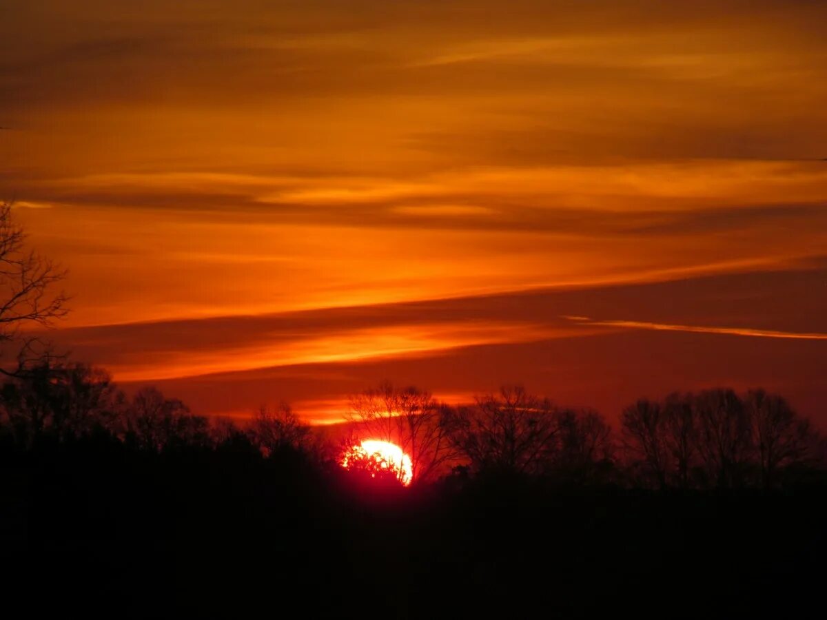 Красное солнышко фото Free Images : nature, horizon, cloud, sun, sunrise, sunset, sunlight, dawn, atmo