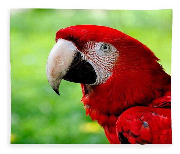 Красное животное фото Feather Fleece Blankets Mobile Prints