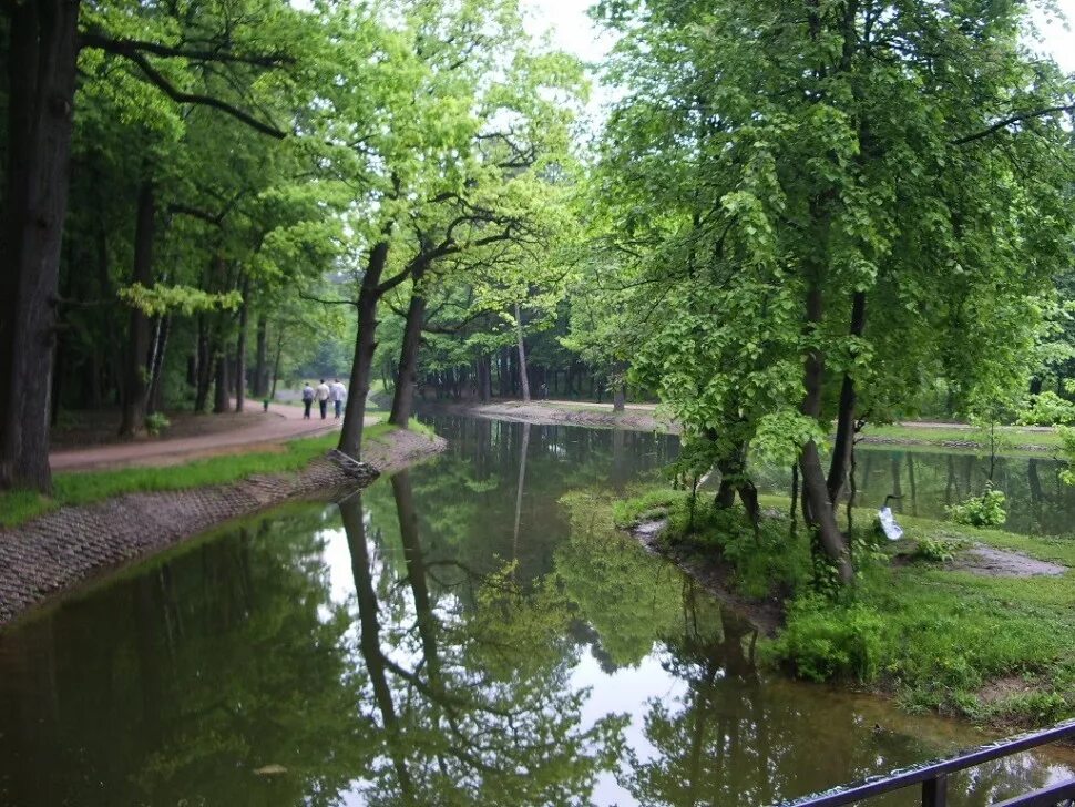 Красногорский городской парк фото Картинки ПАРКИ КРАСНОГОРСКА САЙТ